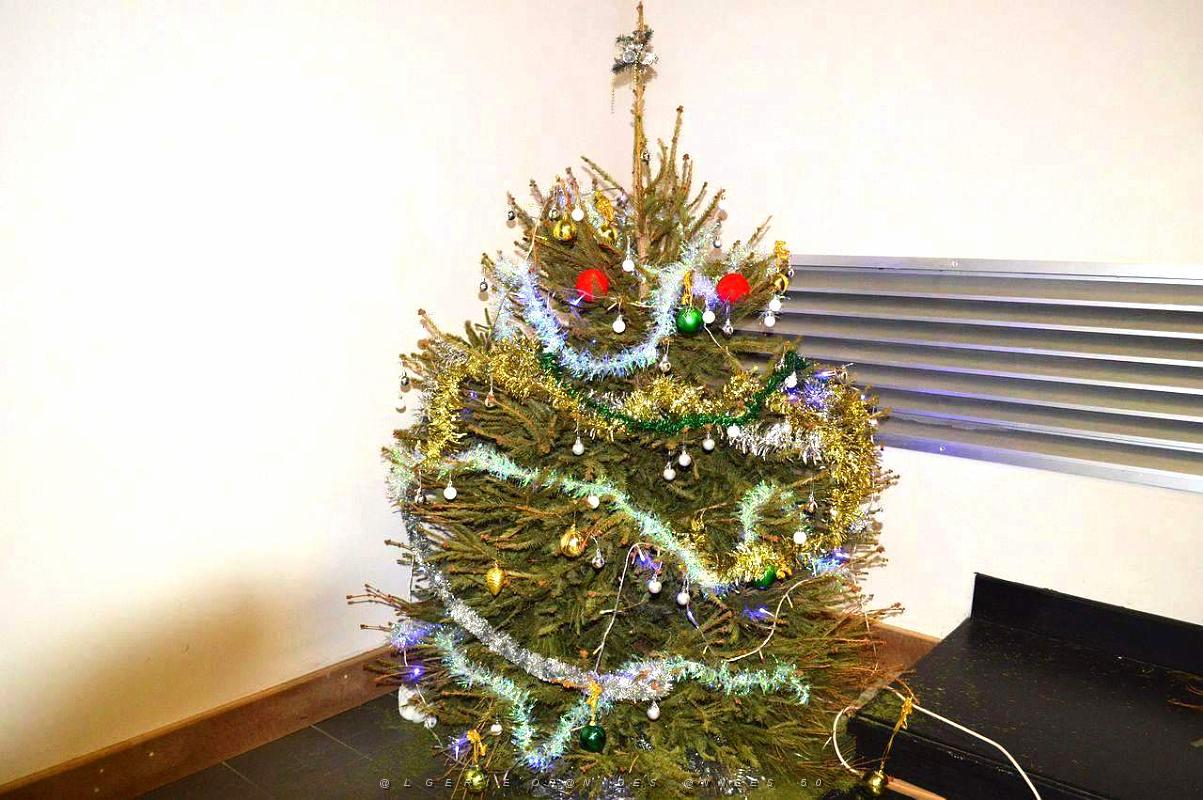 ARBRE DE NOEL 2016 (13).JPG